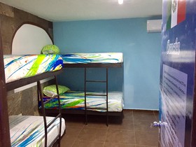 Tropical Caribbean Hostel