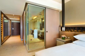 Turquoize Adults Only All Inclusive at Hyatt Ziva