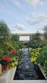 Xoza Cancún