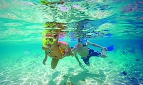 Allegro Cozumel
