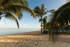 Allegro Cozumel