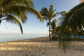 Allegro Cozumel