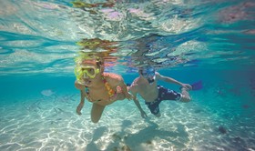 Allegro Cozumel
