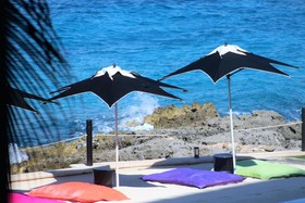 Coral Princess Hotel & Dive Resort