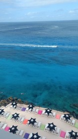 Coral Princess Hotel & Dive Resort