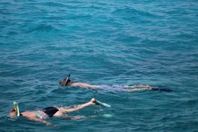 Coral Princess Hotel & Dive Resort