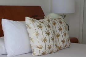 Coral Princess Hotel & Dive Resort