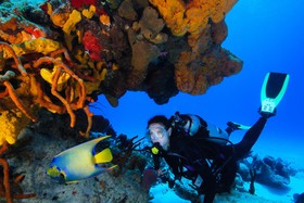 Cozumel Palace