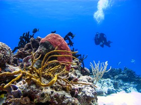 Cozumel Palace