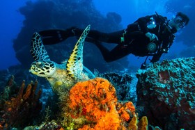 Cozumel Palace