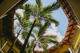 Royal Level at Occidental Cozumel