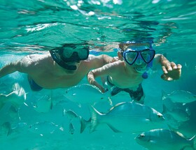 Sunscape Sabor Cozumel