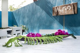 Alma Mía Eco Bed & Breakfast