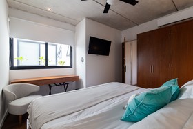 Areca by CocoBR