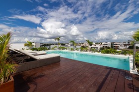 Areca by CocoBR