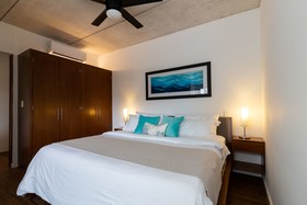 Areca by CocoBR