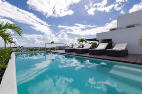 Areca by CocoBR