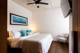 Areca by CocoBR