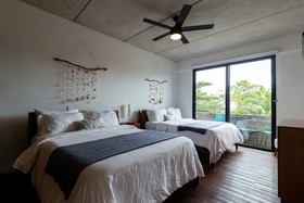 Areca by CocoBR