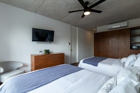 Areca by CocoBR