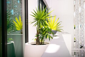 Auténtico Vertical Hotel