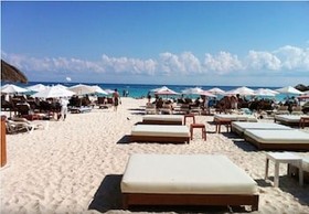 B&B Pelicanos