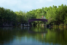 Banyan Tree Mayakoba