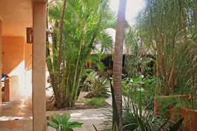 Barrio Latino