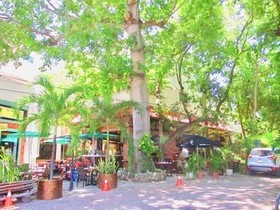 Bosque de los Aluxes By Playa Paradise