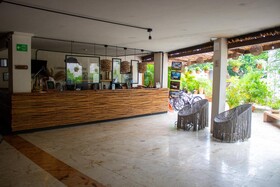 Caribbean Paradise Hotel Boutique & Dive Center