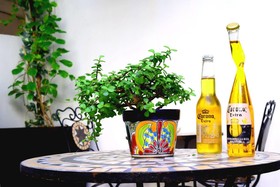Caribe Corazón