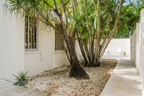Casa Blanca