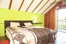 Casa Kiwi