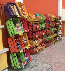Casa Kiwi