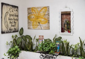 Coconut Hotel Boutique
