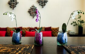 Condo Boutique