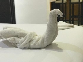 Easy Hotel