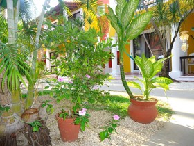 El Acuario Hotel
