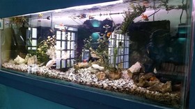 El Acuario Hotel