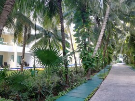 El Dorado Seaside Palms