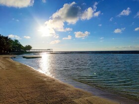El Dorado Seaside Palms