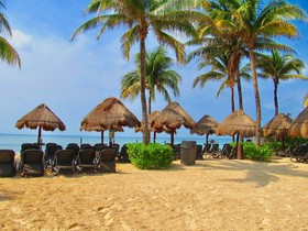 Elements by Playa Moments