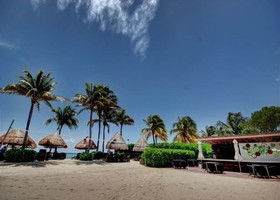 Elements by Playa Moments
