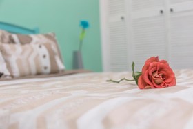 Alma y Mar Hotel & Suites