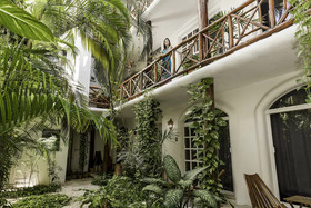 Estudios Selva y Mar