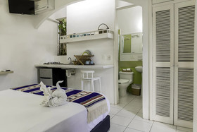 Estudios Selva y Mar