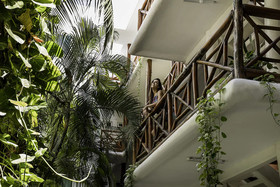 Estudios Selva y Mar