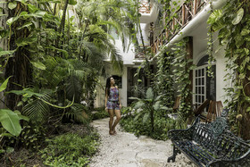 Estudios Selva y Mar