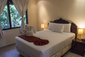 Green Oasis Home Boutique