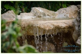 Green Oasis Home Boutique